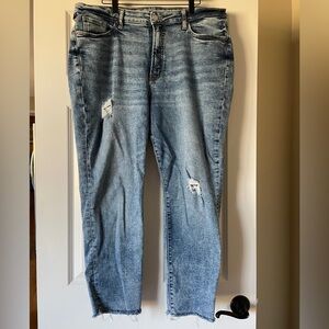 Distressed Plus Blue Jeans
